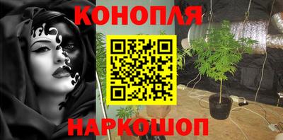 гидра Гусев