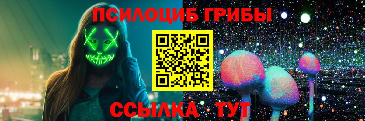 Псилоцибиновые грибы Psilocybine cubensis Мичуринск